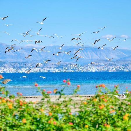 Nikos Kalamaki Corfu Apraos ภายนอก รูปภาพ